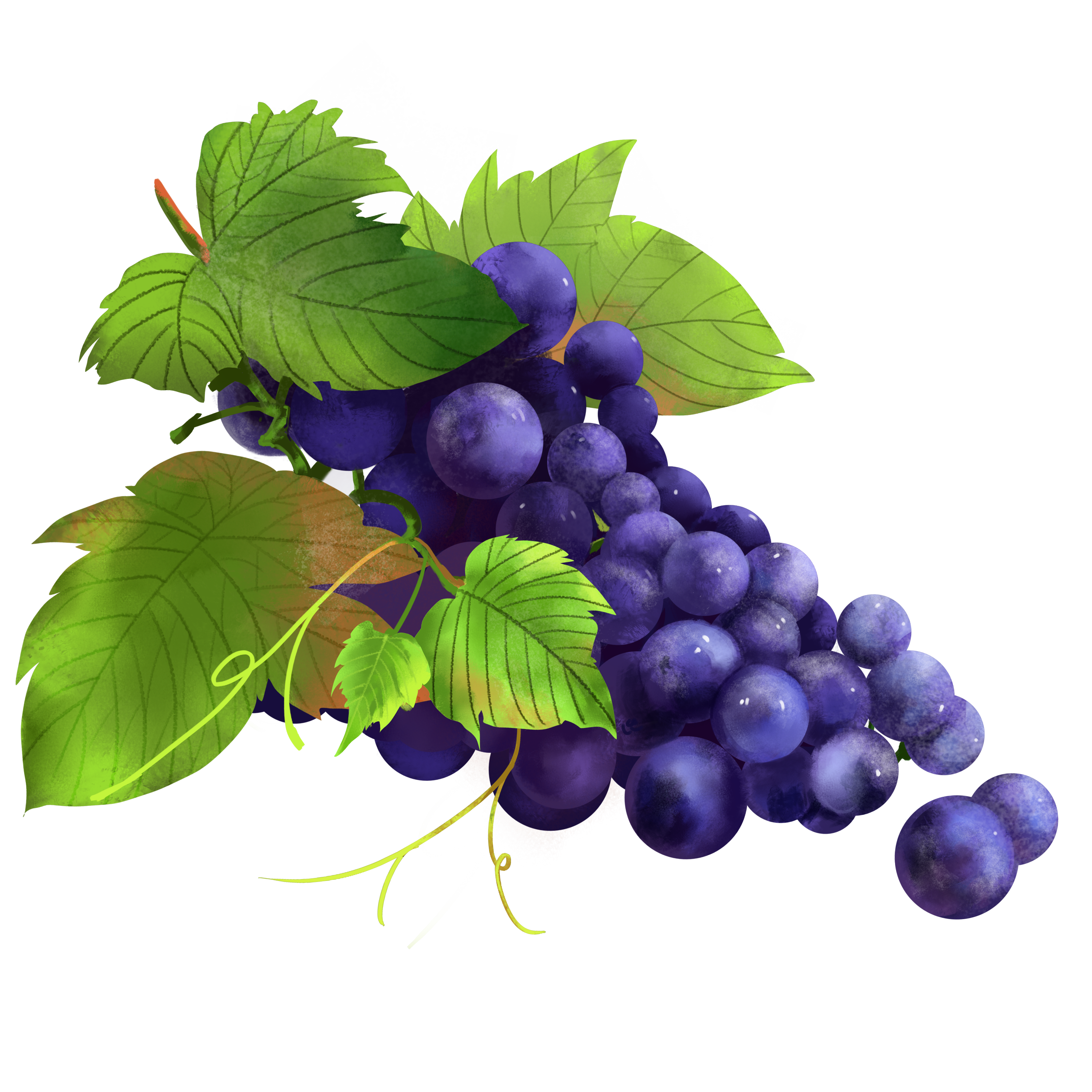 葡萄酒 + 数字产权：ZWine 葡萄酒数字资产引领行业新变革​